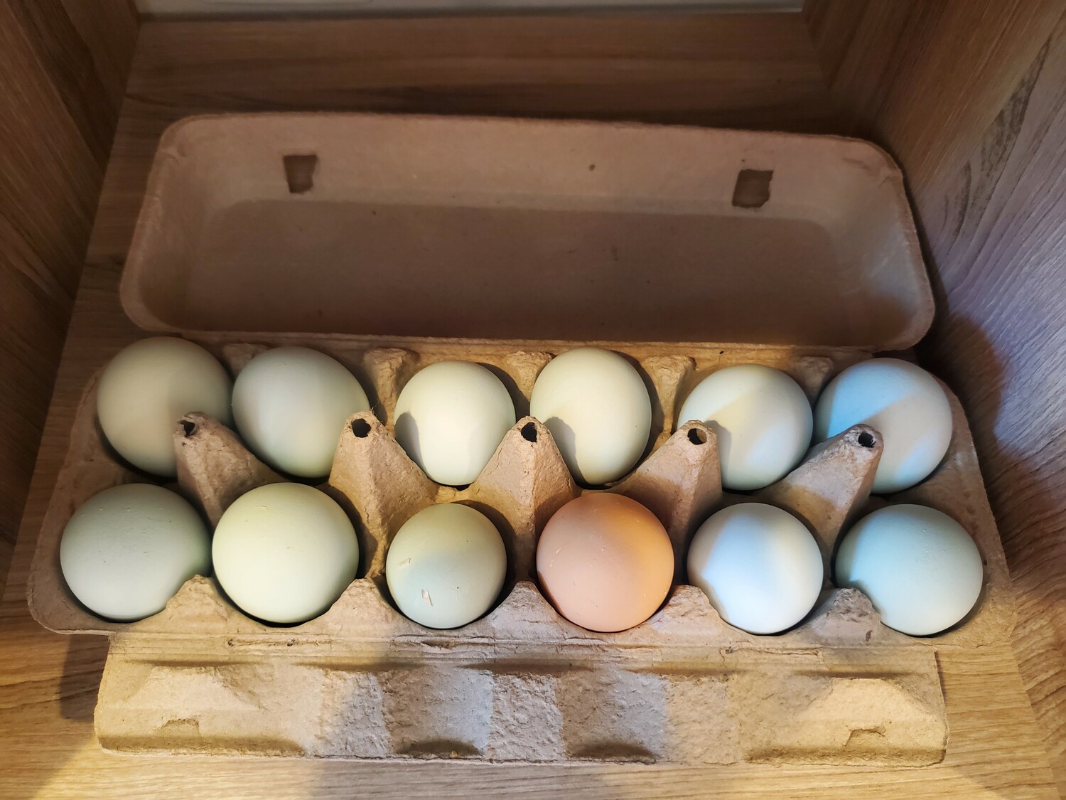 Chicken &amp; Duck Eggs <br>